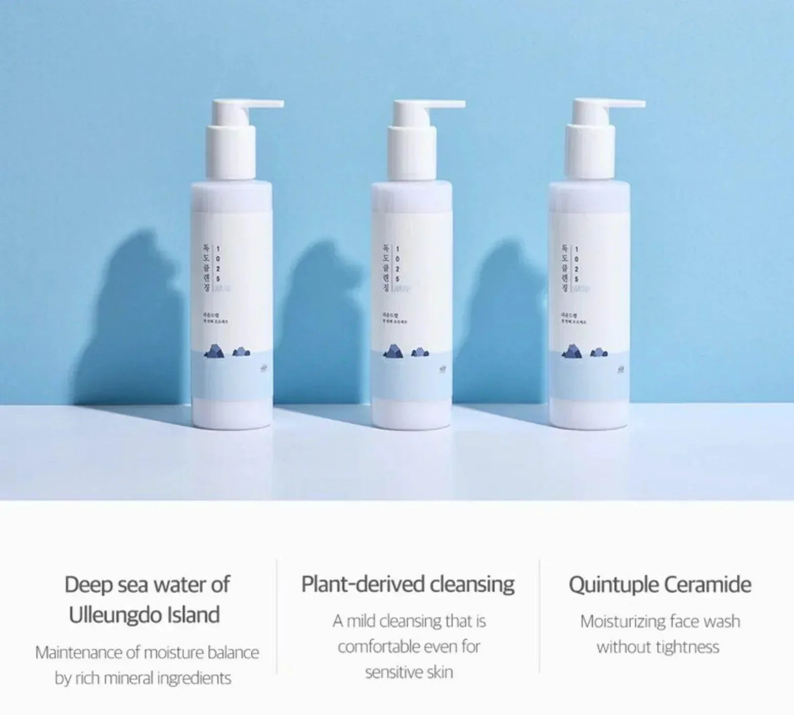 ROUND LAB 1025 Dokdo Cleansing Milk