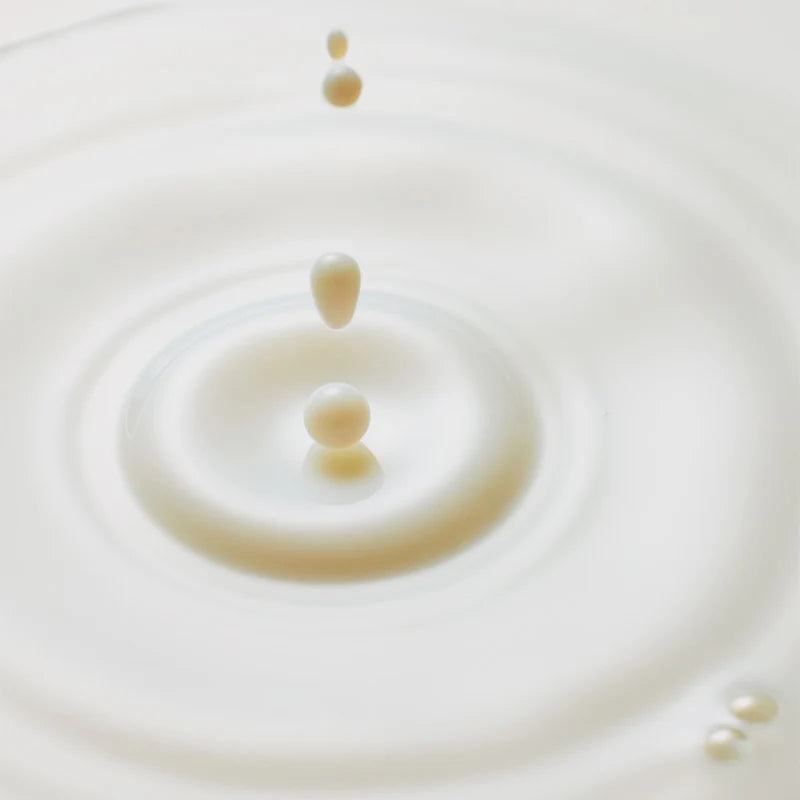 Oat PDRN Gentle Refining Toner - Korean Cosmetics
