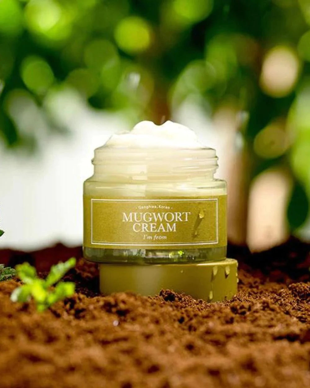 Mugwort Cream - Korean Cosmetics